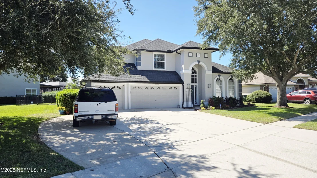 Photo of 2016 SPOONBILL Street