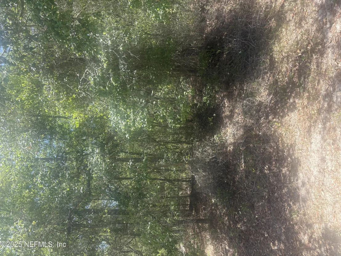 Photo of 303 HICKORY NUT TRAIL Trail