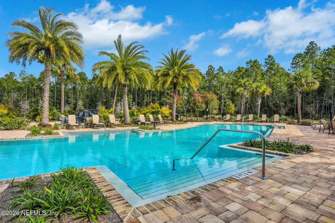 Photo of 82 TREE FROG Way