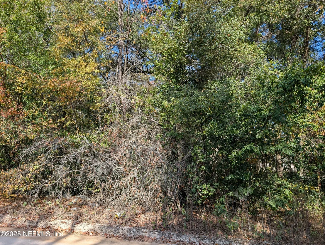 Photo of 236 2ND Way