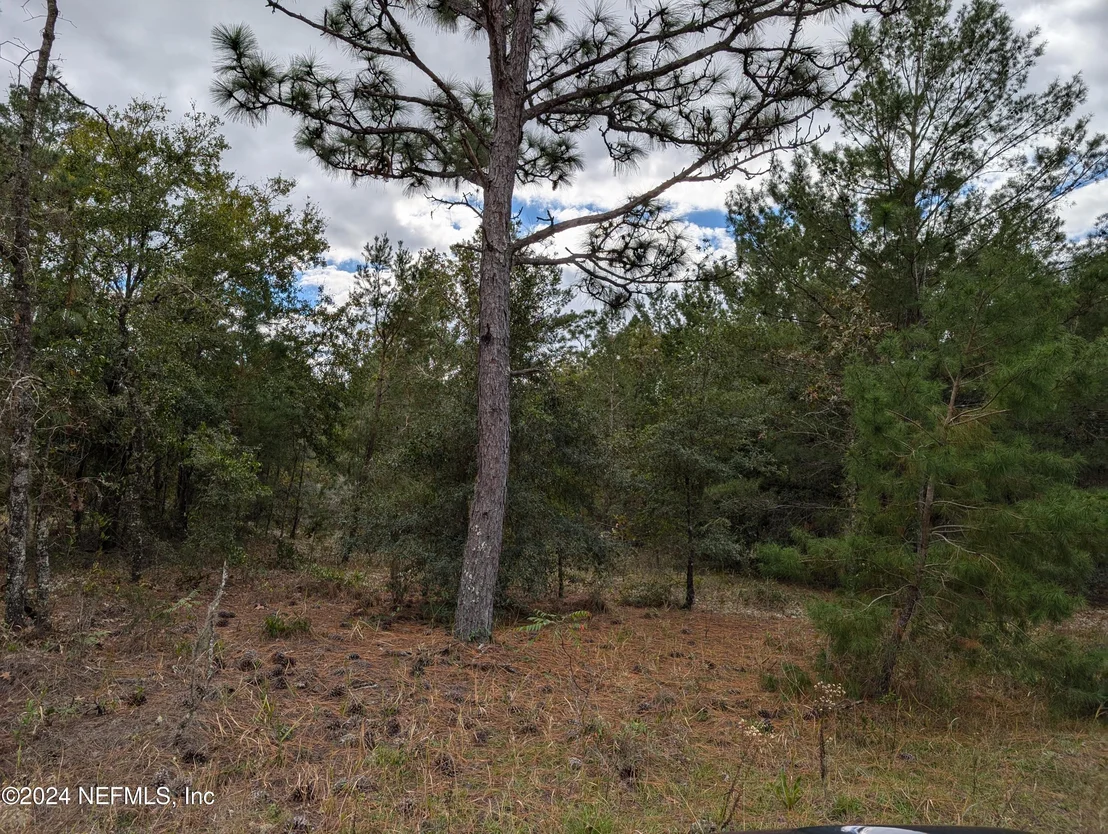 Photo of 0200 PINE Way