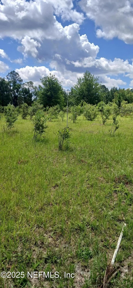 Photo of 2995 THUNDER Road