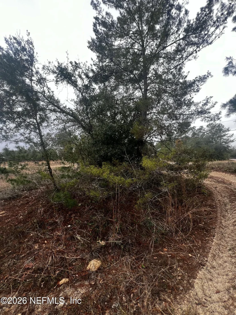 Photo of 226 RIDGE Road