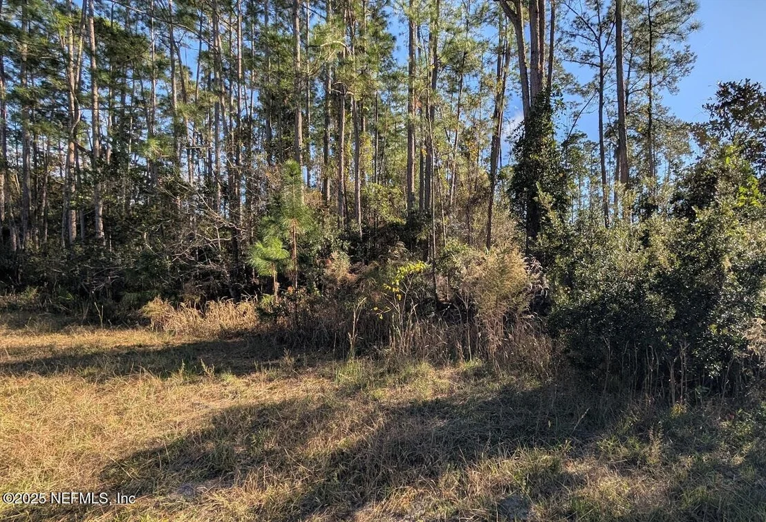 Photo of 113 WHITE PINE Lane