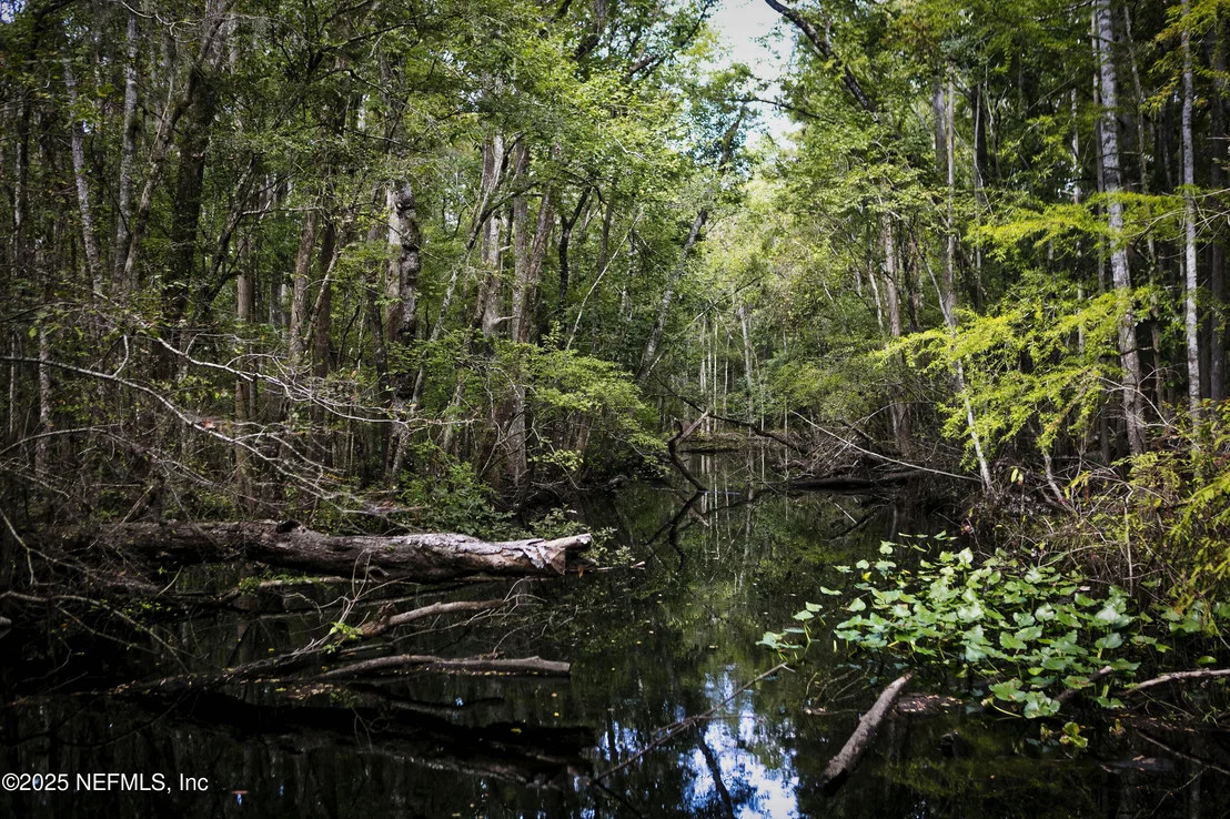 Photo of 523 WHITE RABBIT Run