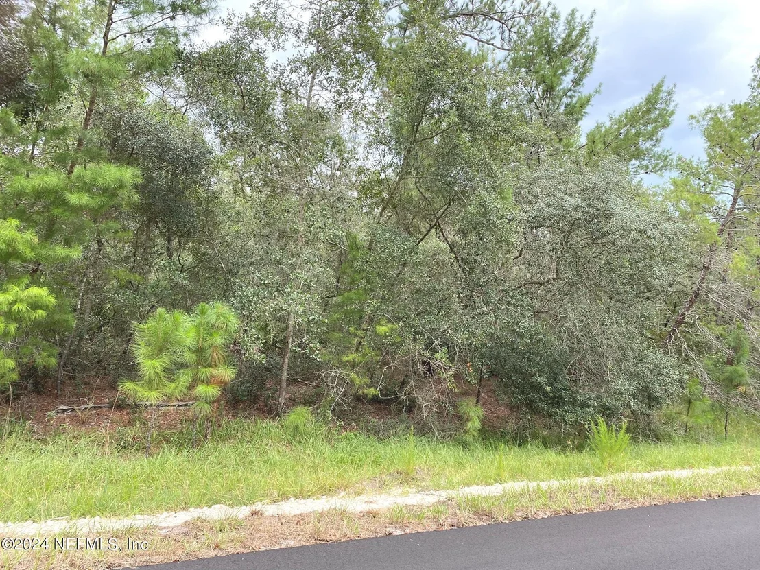 Photo of 118 SPANISH Trail