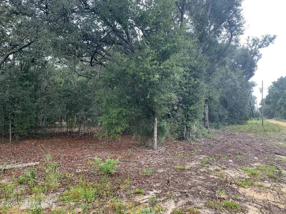 Photo of 0250 LENORE Avenue