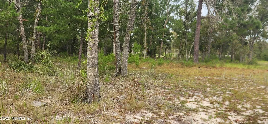 Photo of 7850 RANCHETTE Road
