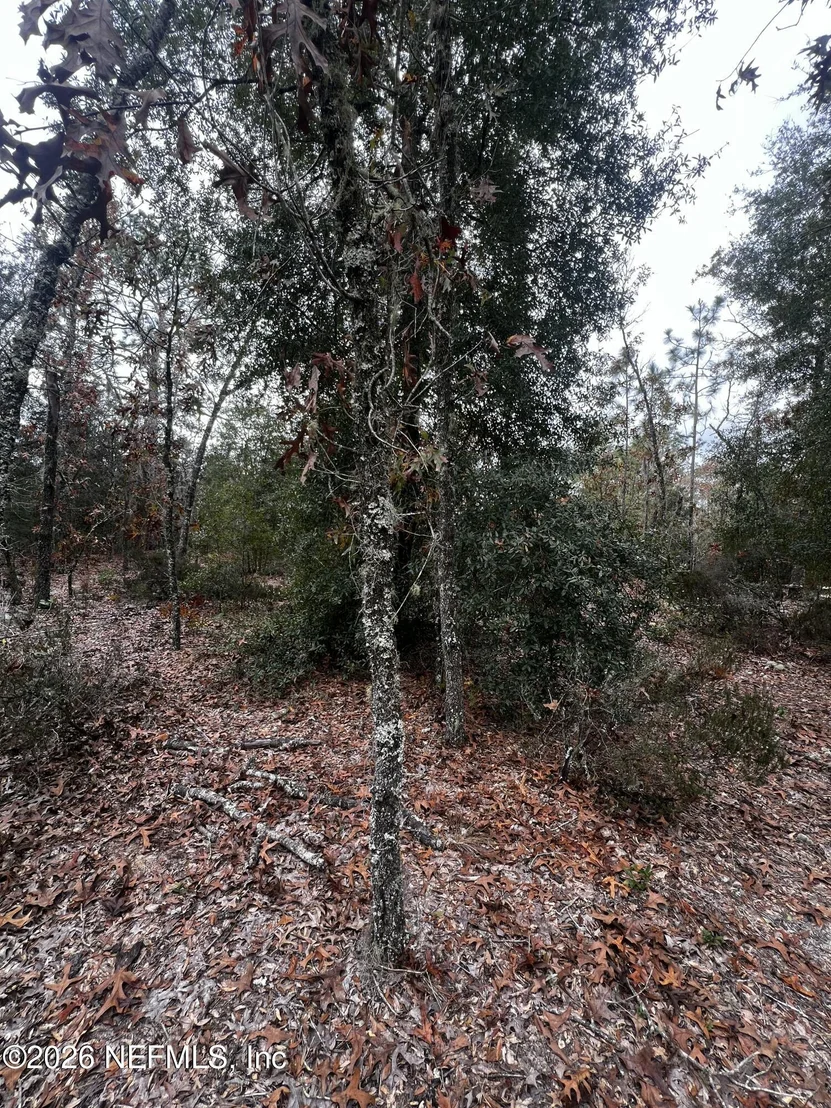 Photo of 307 LEMON Street
