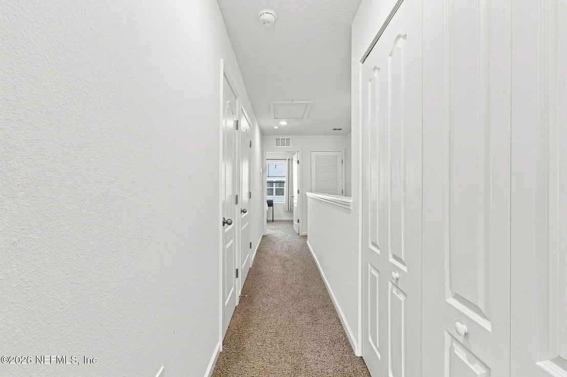 Photo of 40 WADING IBIS Road