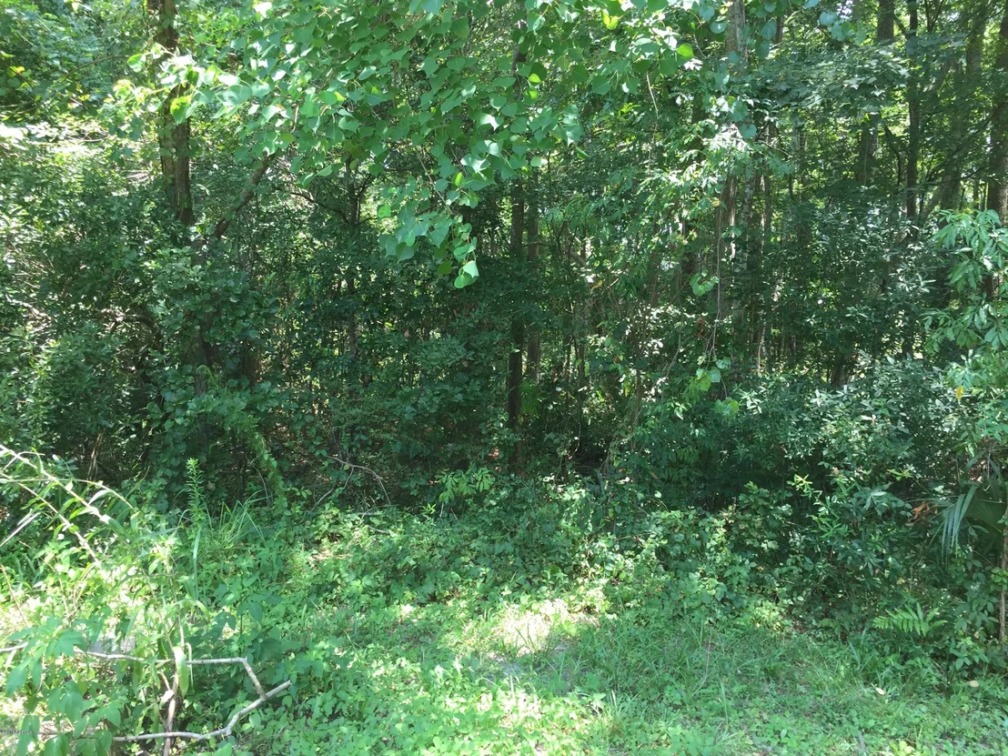 Photo of 911 COLE Road