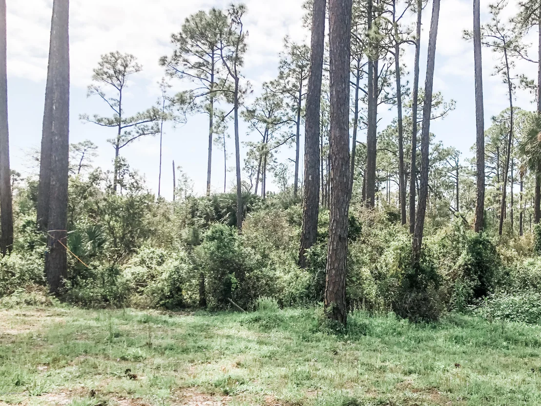 Photo of 329 PESCADO Drive