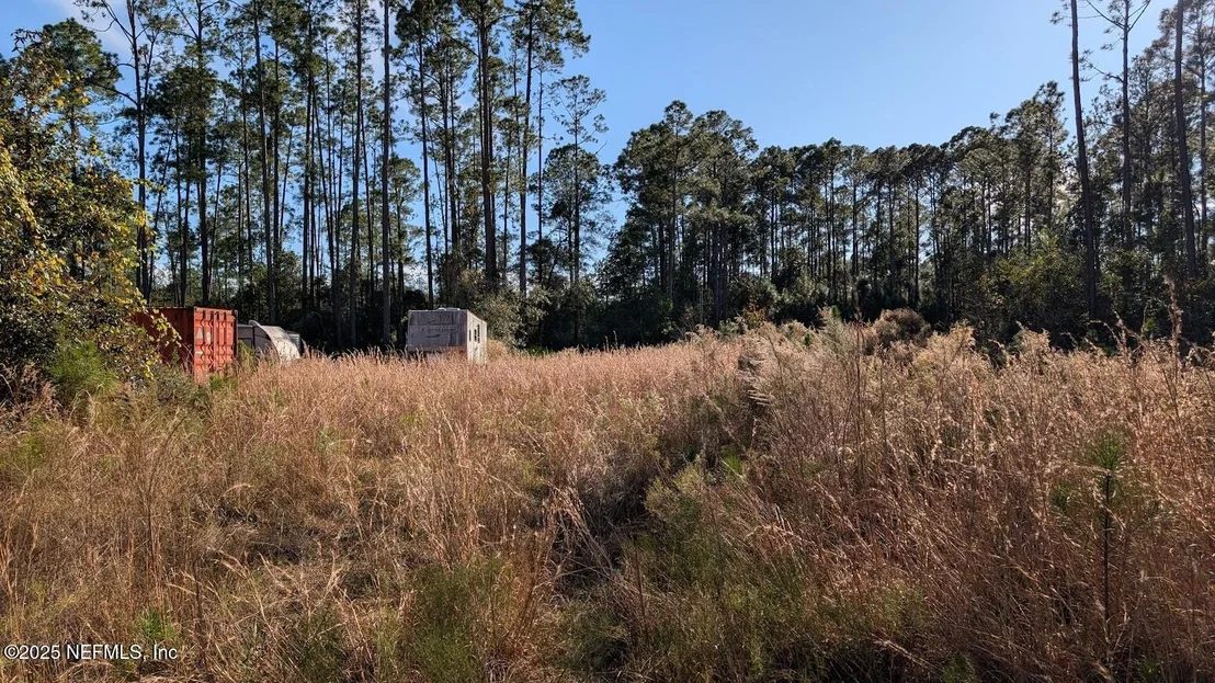 Photo of 113 WHITE PINE Lane