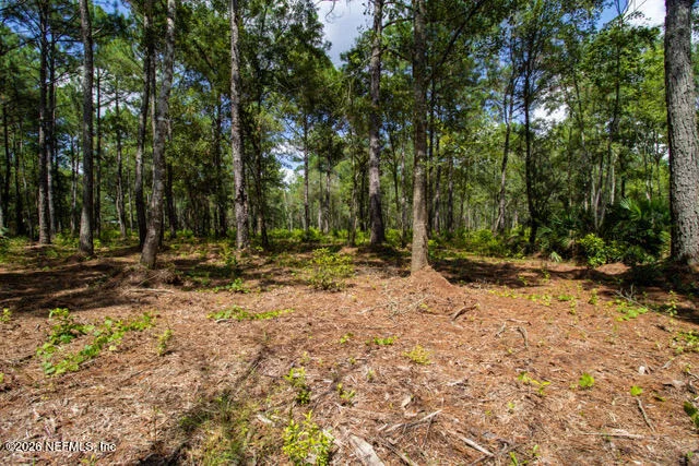 Photo of 4410 LORI LOOP Road