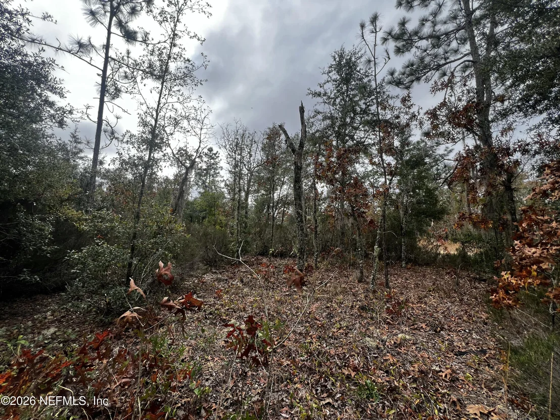Photo of 307 LEMON Street