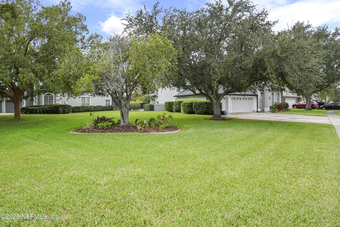 Photo of 2016 SPOONBILL Street