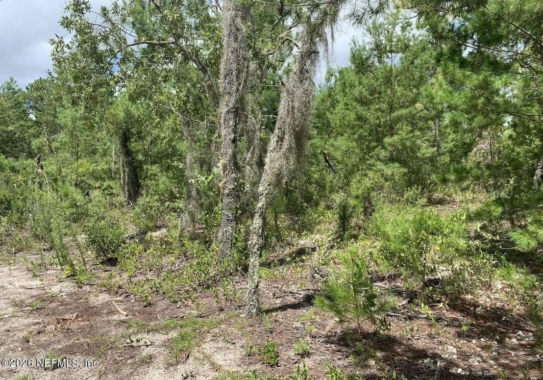 Photo of 403 LILY Trail