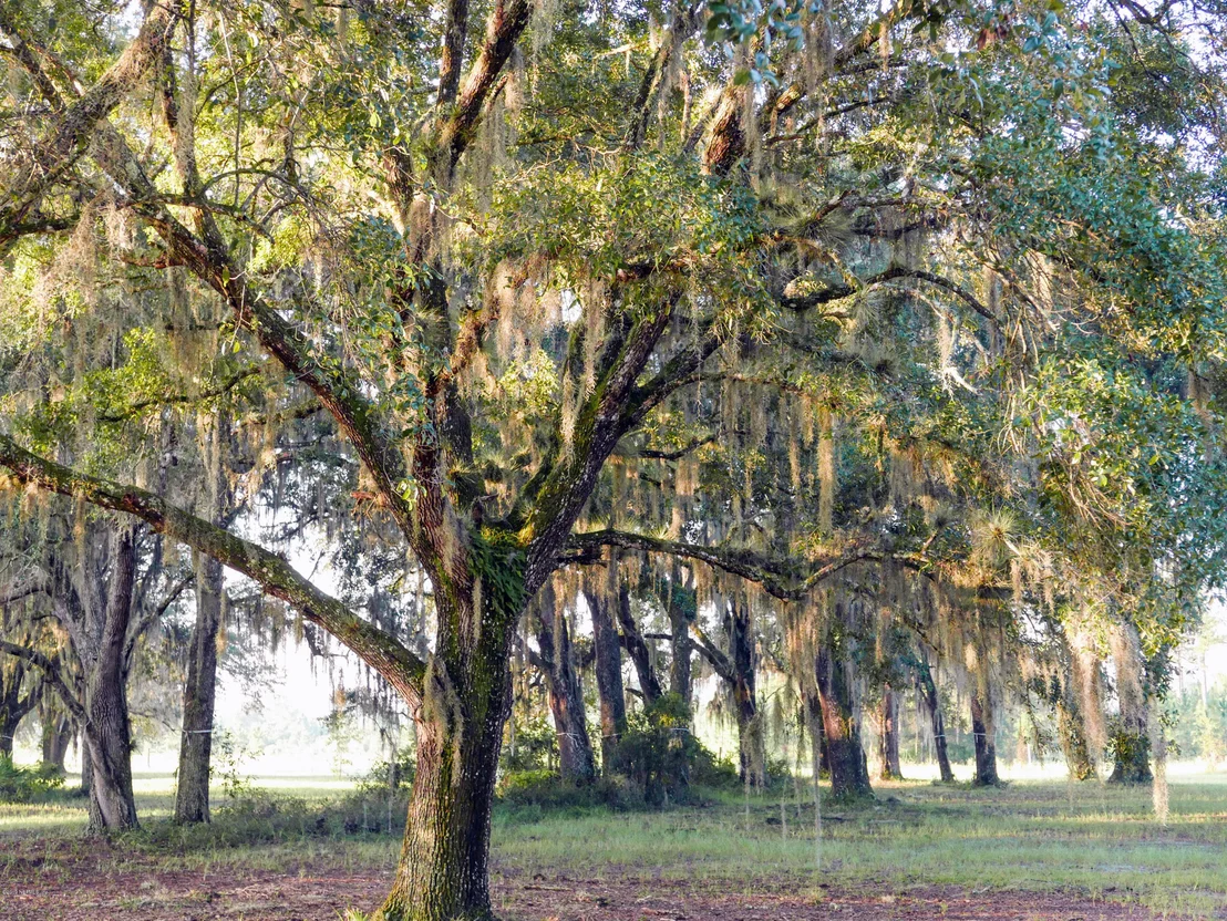 Photo of 185 WEATHERED EDGE Drive