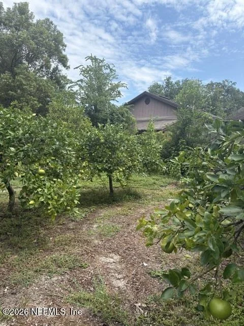 Photo of 1410 REDBUD Lane