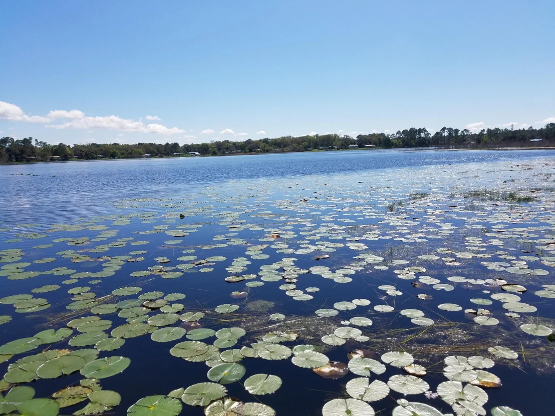 Photo of 147 SILVER POND Road