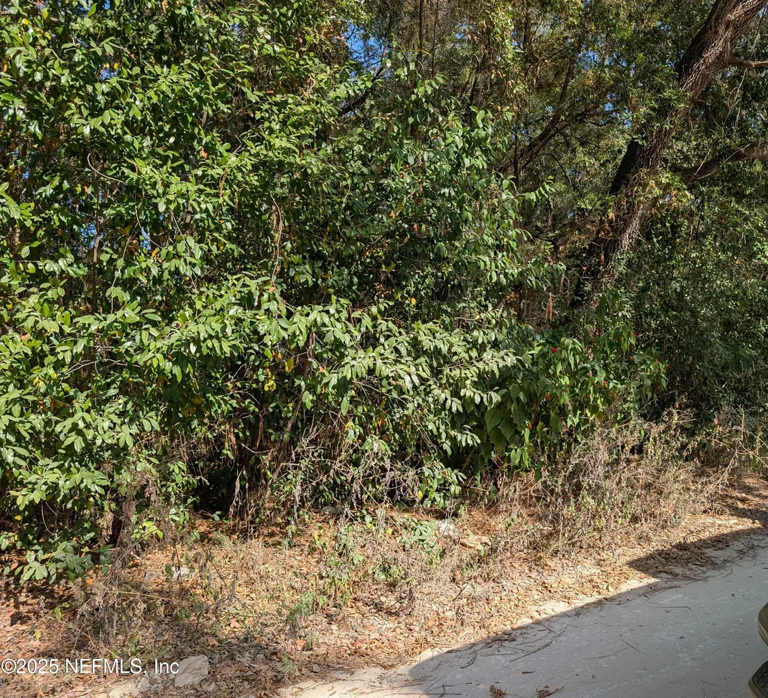 Photo of 236 2ND Way