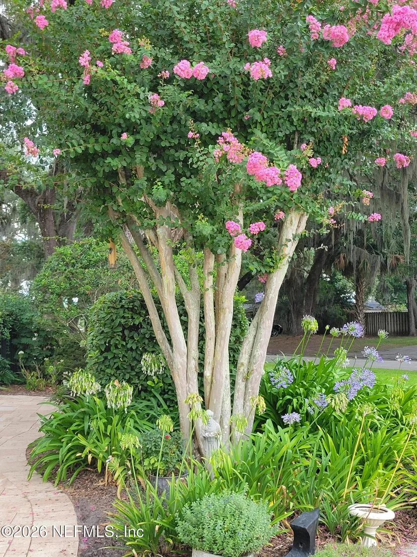 Photo of 8349 KIM Road