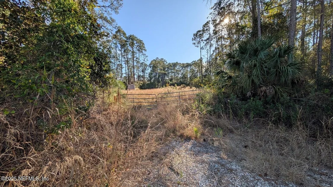 Photo of 113 WHITE PINE Lane
