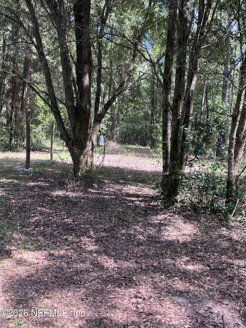Photo of 3923 SKIPPER Road