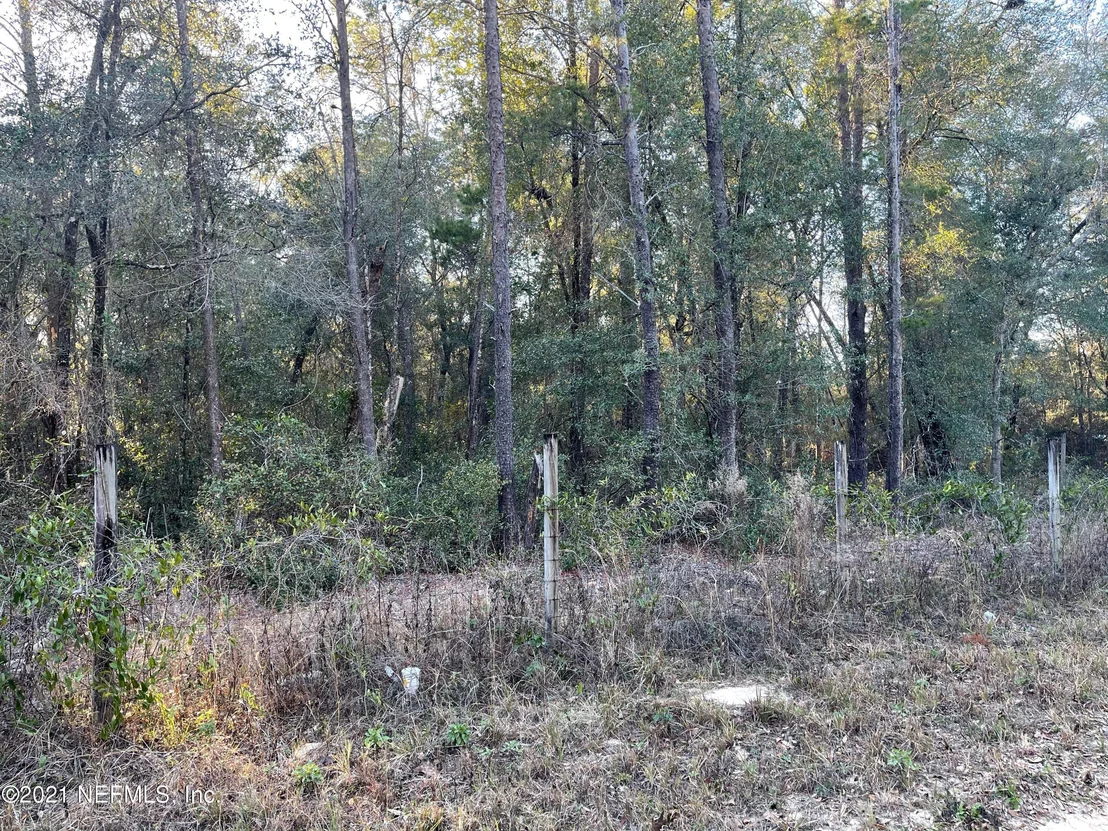 Photo of 7940 GUSTAFSON Road