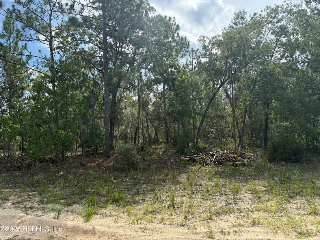 Photo of 151 LONG BRANCH Trail