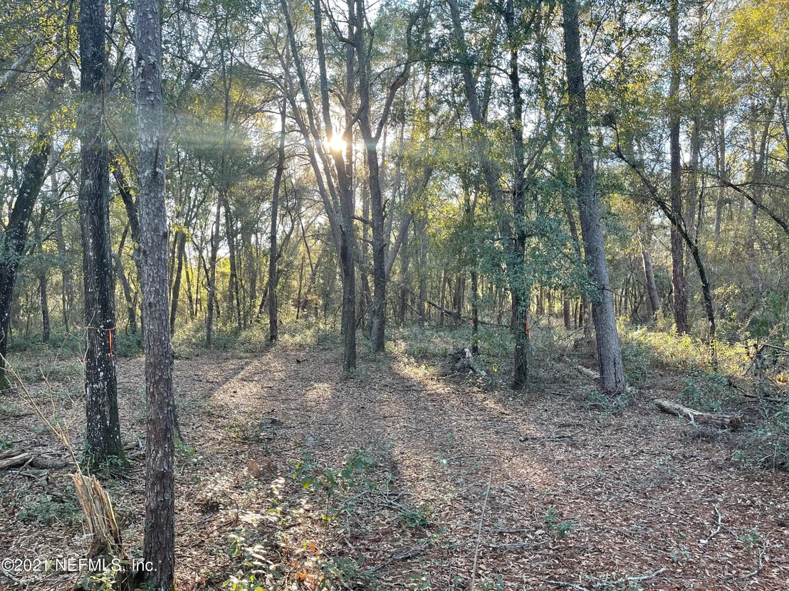 Photo of 7940 GUSTAFSON Road