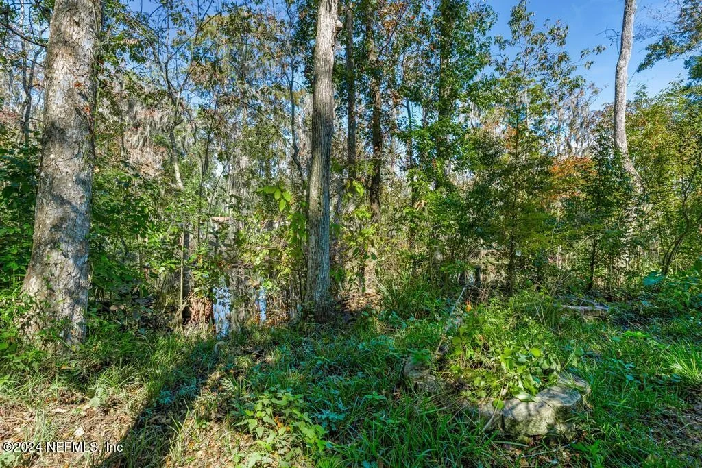 Photo of 413 RIVER BIRCH Lane