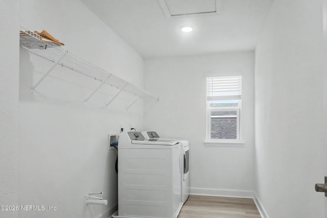 Photo of 523 WHITE RABBIT Run