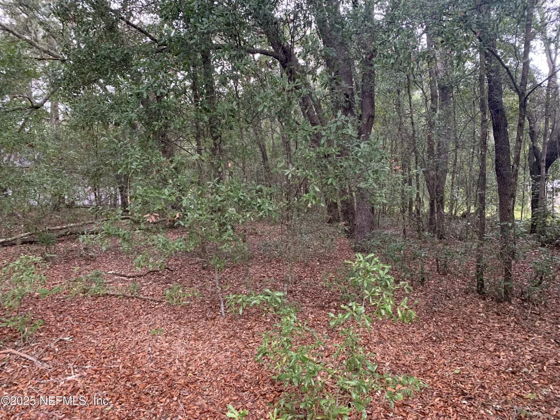 Photo of 0250 LENORE Avenue