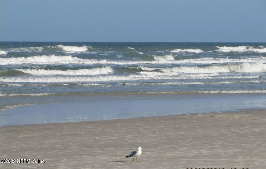 Photo of 641 SHORES Boulevard