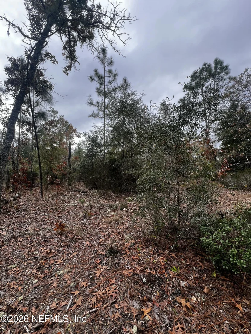Photo of 307 LEMON Street