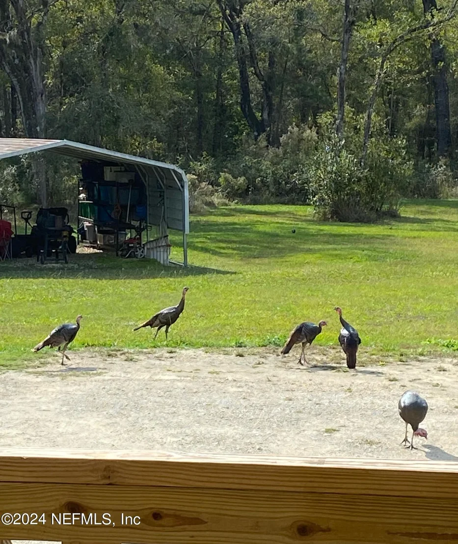 Photo of 9534 NW COUNTY ROAD 229
