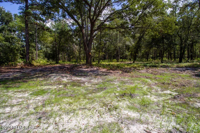 Photo of 4406 LORI LOOP Road