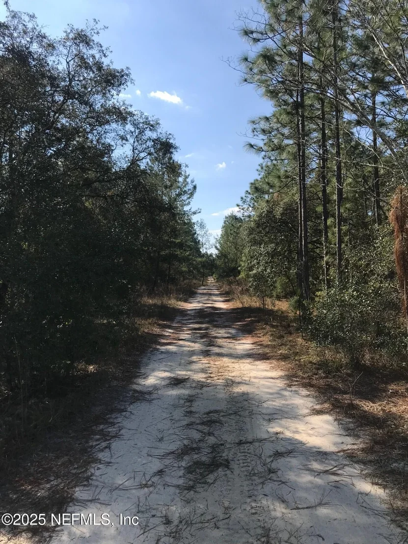 Photo of 404 MOURNING DOVE Road