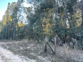 Photo of 7940 GUSTAFSON Road