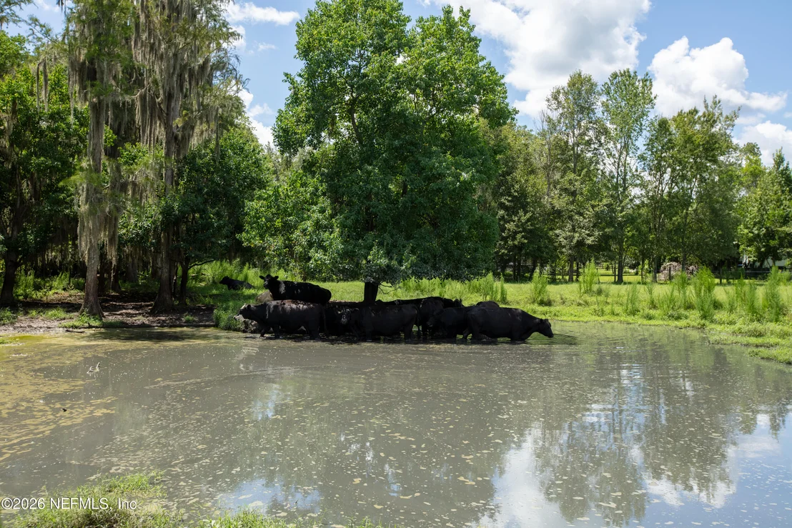 Photo of 0 NW COUNTY ROAD 225