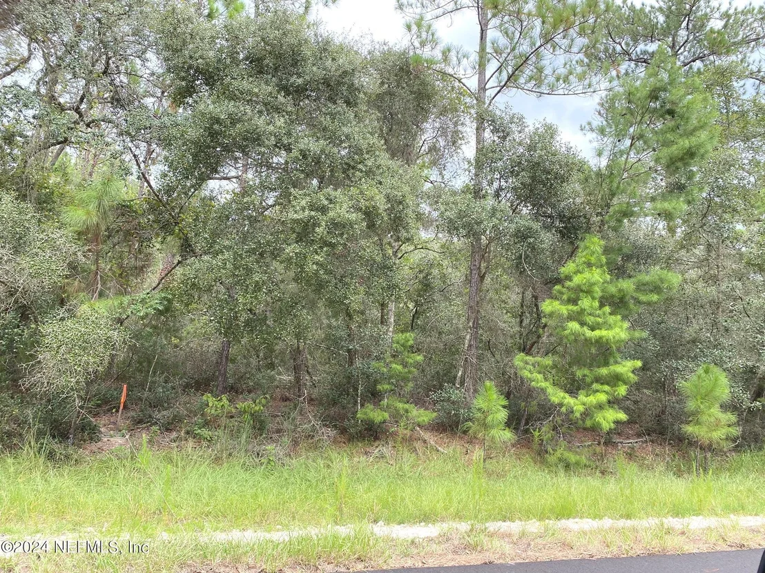 Photo of 118 SPANISH Trail