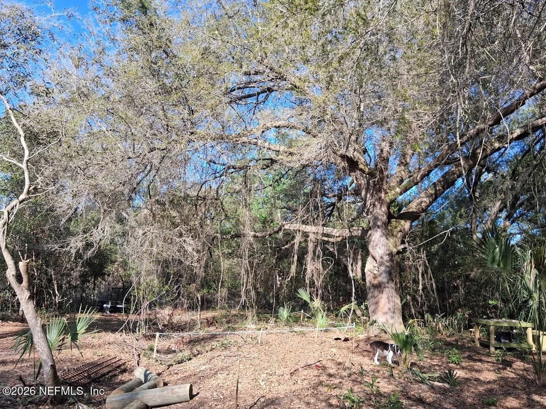 Photo of 910 PARADISE Boulevard