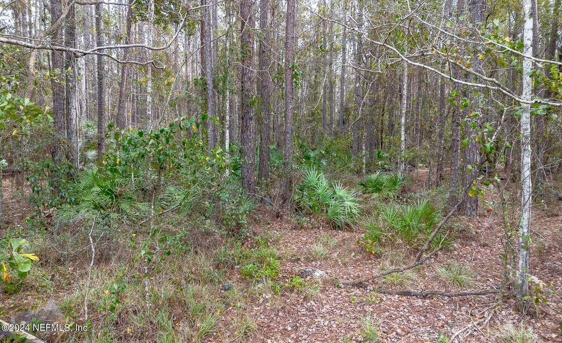 Photo of 11743 SIMMONS Road