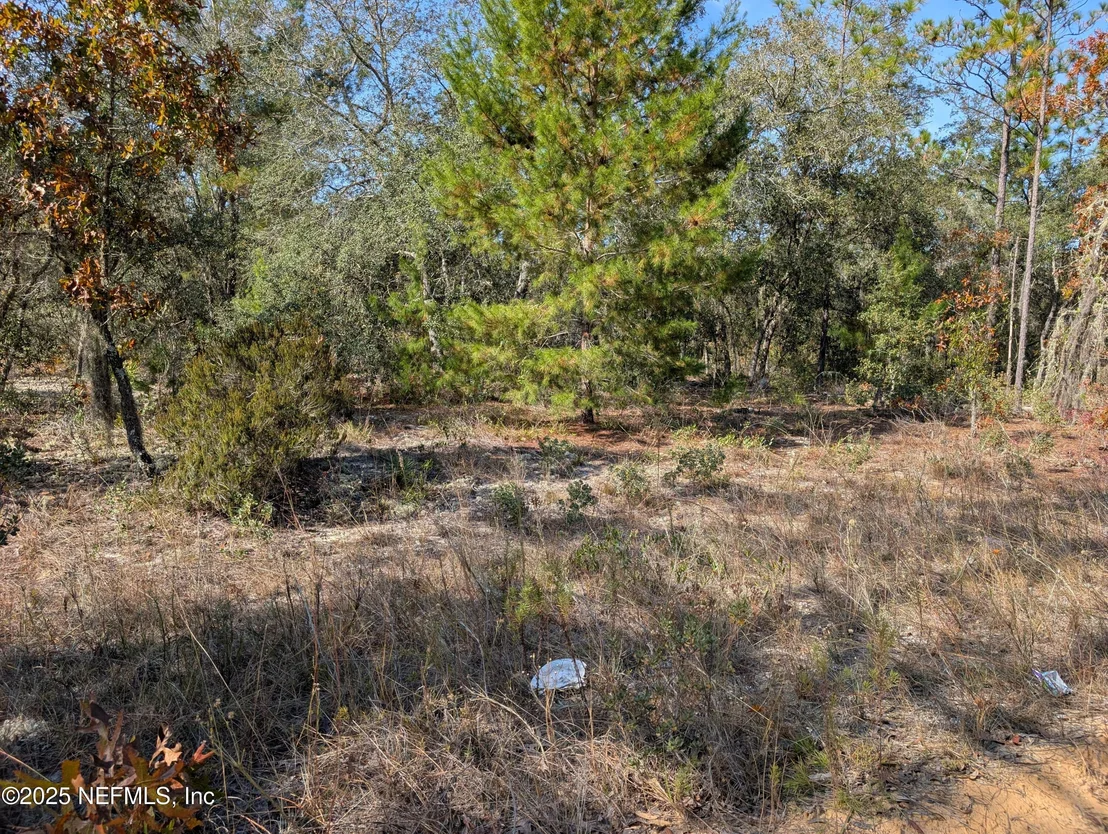 Photo of 0570-0020 VIOLET Avenue