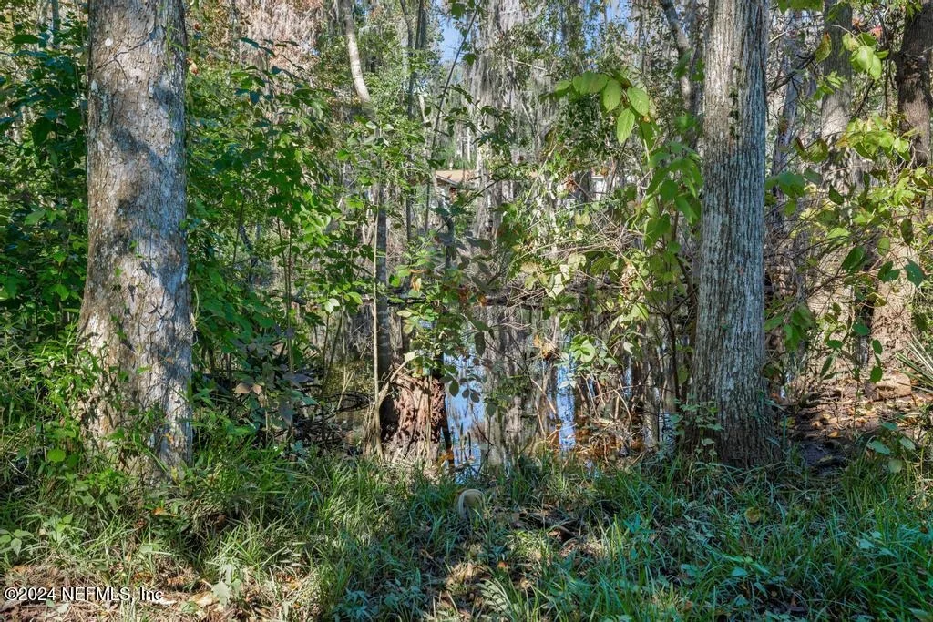 Photo of 413 RIVER BIRCH Lane