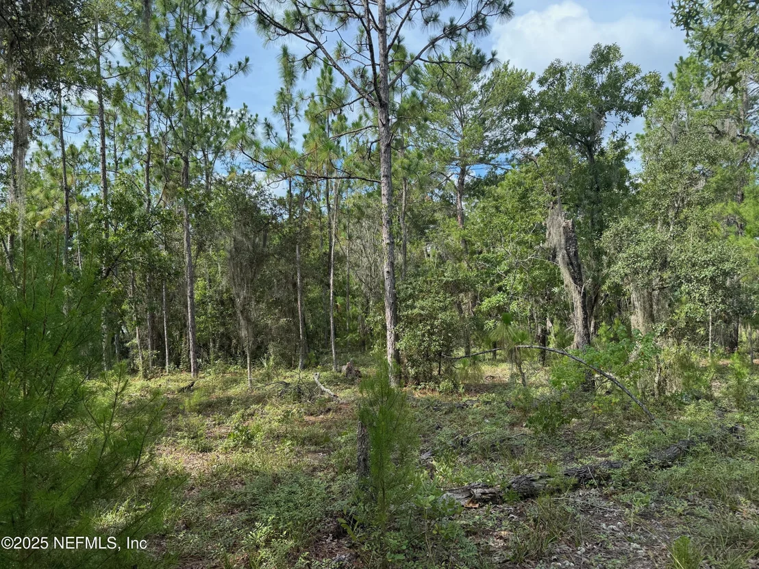 Photo of 151 LONG BRANCH Trail