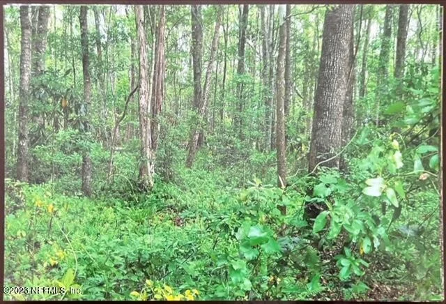 Photo of 2777 COUNTY RD 220