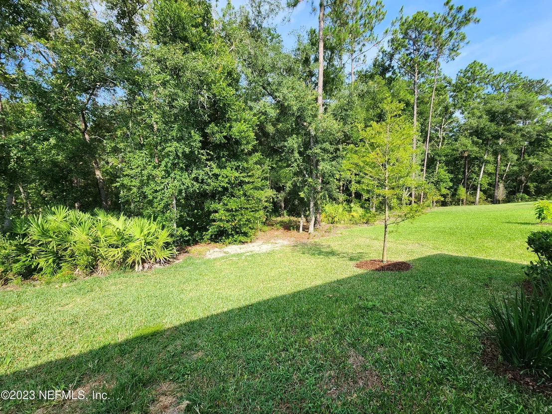 Photo of 467 BROWN BEAR Run