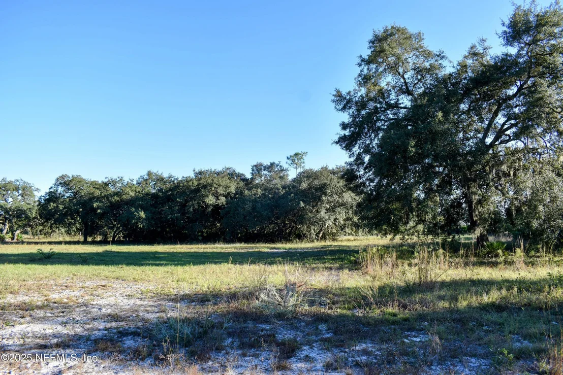 Photo of 96 BRIDLE Drive